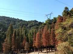 -广州市帽峰山景区