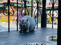 -京北渔家傲