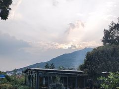 -蘇河湾·新鲁菜·泰山宴(泰山店)