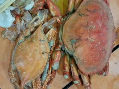 android_upload_pic-胶东海鲜大排档(北太平庄店)