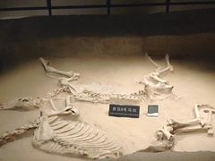 -洛阳周王城天子驾六博物馆