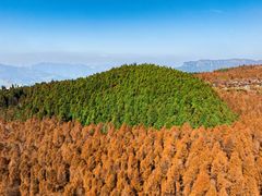 -山王坪喀斯特国家生态公园