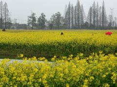-杭州灵山景区