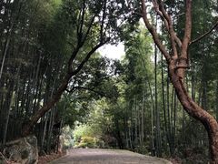 -东林大峡谷