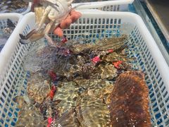 -宴小馆·小海鲜青岛菜(五四广场店)