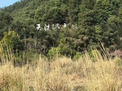 -明月山天沐温泉度假村