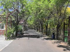 -北京鹿世界主题园