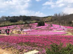 -棒棰岛宾馆景区