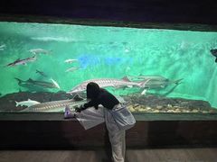 -太平洋海底世界