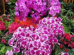 -龙环葡韵住宅式博物馆