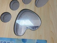 -宠颐生宠物医院外科·内科·皮肤科·影像科(石龙店)