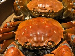 -蟹榭(静安寺晶品商场店)