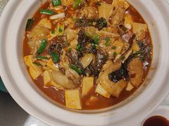 -谢氏老金口渔村(王家墩店)