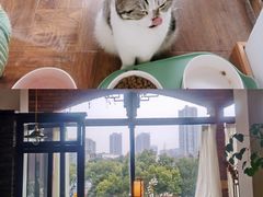 -月迷津渡(吾悦国际店)