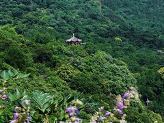 -香山公园