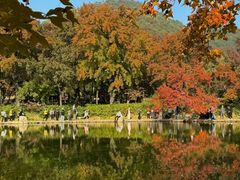 -西山人家·传统苏帮菜·家宴(木渎店)