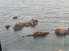 -摩天岭风景区