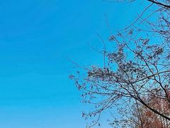 -白鹭湾湿地公园