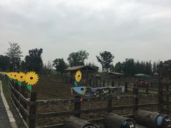 -田园东方蜜桃村的田野营地