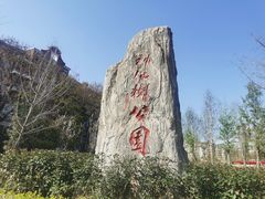 -神仙树公园