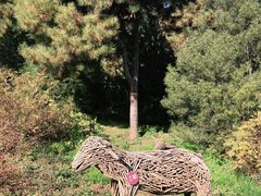 -北京西山国家森林公园