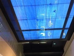 iphone_upload_pic-Hollister(希慎广场店)
