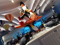 -帝企鹅自助餐厅•儿童岛•真企鹅(长隆企鹅酒店)