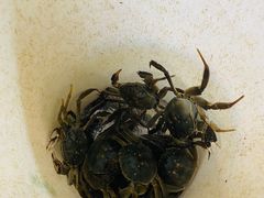 -蟹道河蟹大米商行