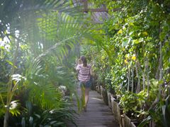 -卡帕莱度假村(西巴丹岛)