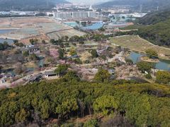 -无锡梅园公园