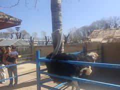 -北戴河集发农业梦想王国