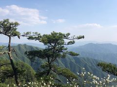 -王顺山国家森林公园