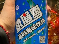 峨眉雪-重庆渝达老火锅(春熙路店)