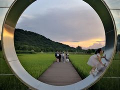 -艾米稻香小镇