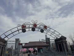 -武汉知音号