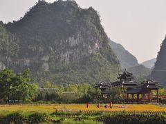 -靖西鹅泉风景区