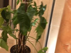 -哈尔滨西站(地铁站)