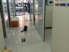 -全心全意连锁动物医院·微创中心·内科急重症·心脏专科(丰管路店)