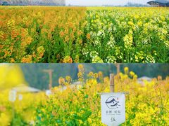 -中国天府农业博览园