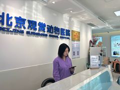 -北京观赏动物医院·24小时大型综合·猫专科·异宠专科