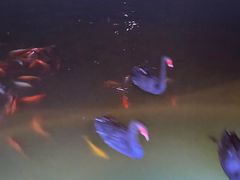 -春晖园度假酒店温泉