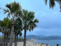 -大梅沙海滨公园