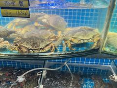 -望海潮海鲜店 特色家常菜(在海一方店)