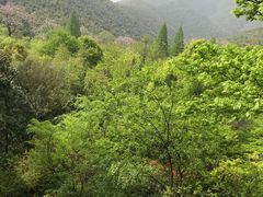 -天目湖御水温泉·度假酒店