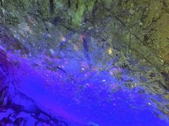 -陶祖圣境风景区