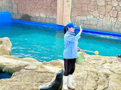 -秦皇岛乐岛海洋王国