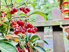 -国生茶庄·地道农家菜团建活动