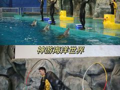 -威海华夏城景区