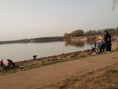 -丁香湖公园