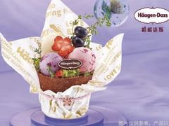 -哈根达斯(青岛海信店)